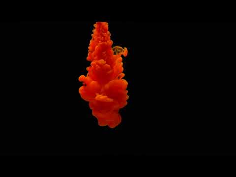 Diogo Russo - Jumping Zeca