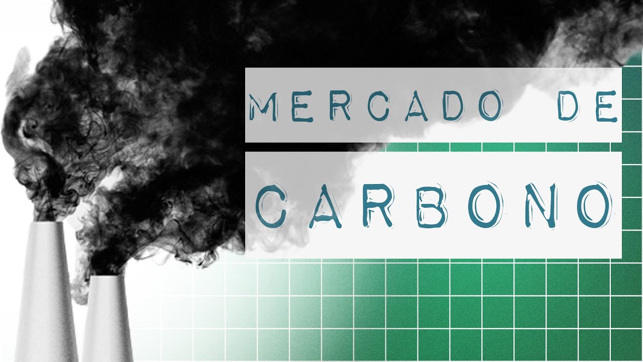 MERCADO DE CARBONO: O QUE É E PARA QUE SERVE