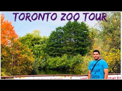 एक सींग वाला गेंडा | Toronto Zoo | Canada's Premier Zoo | Wild Life| Full Zoo Tour by Visa Approvals