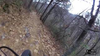 The downhill section of theTuscarora - Bear Wallow Trail.