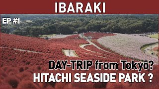 『#1』IBARAKI - LEAST ATTRACTIVE Prefecture in Japan?  - Japan Travel Vlog