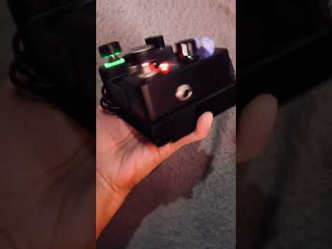 A very fitting combination #shortvideo #valetongp5 #tonexone