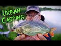 Video Thumbnail for Carp Fishing with Ultralight Rod in the City of Regina