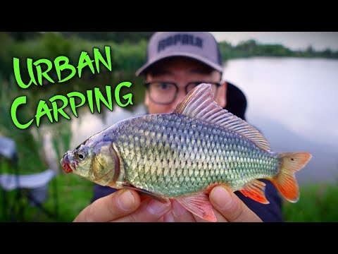 Carp Fishing with Ultralight Rod in the City of Regina