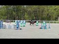 Jument sf de 7 ans - CSO 130 et +