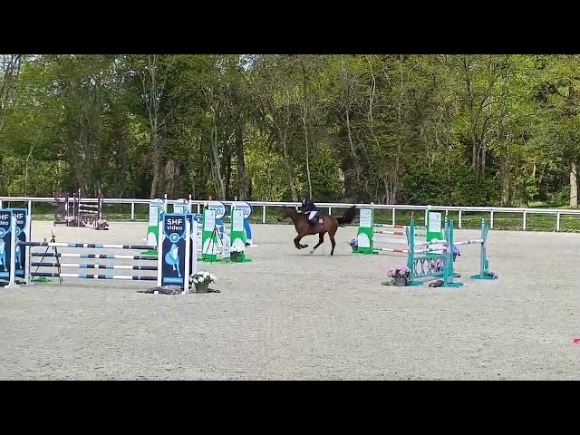 Jument sf de 7 ans - CSO 130 et +