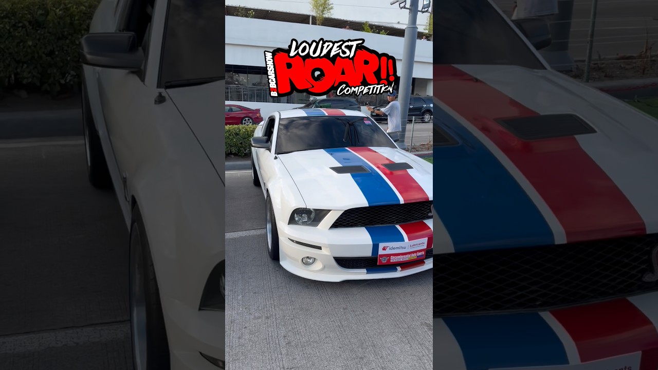 Shelby vs Civic Race Car ...