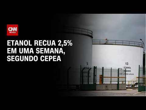 Preço do etanol recua em SP apesar de vendas recordes | CNN AGRO NEWS