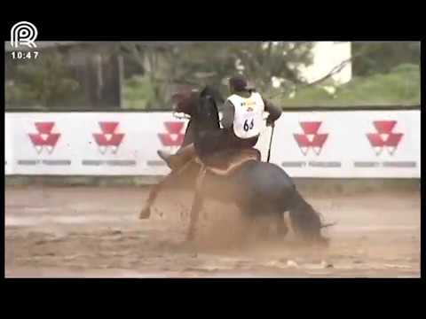 Classificatória Região Sul – 4° lugar machos – Guerreiro do Rolador (Prova: Bayard/Sarmento)