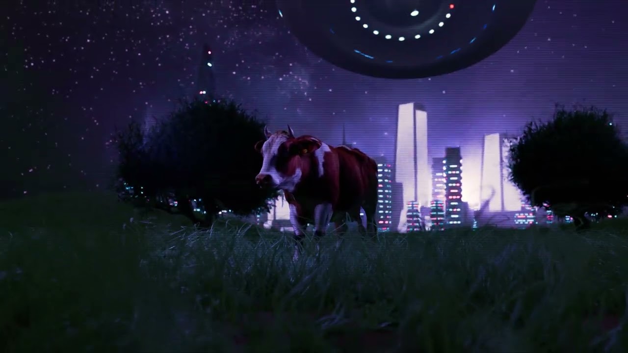 Watch Trip House Media reel