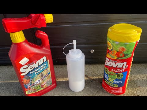 Using Sevin Dust to Kill WASPS