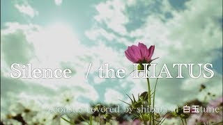 Silence Music Video
