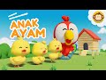 Anak Ayam Tek Kotek Lagu Anak Anak Lagu Anak Indonesia Balita
