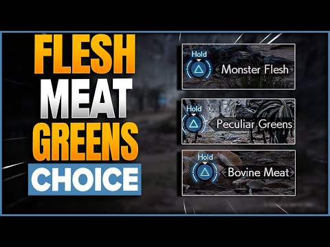 Choose Bovine Meat, Monster Flesh, or Peculiar Greens In Final Fantasy 7 Rebirth