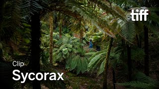 SYCORAX Clip | TIFF 2021