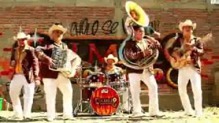 Colmillo Norteño   El Cholo Se Hizo Buchon Video Oficial 2011