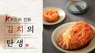 김치는 한국 전통음식입니다. | 김치의 탄생