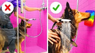 Smart Hacks And Crafts For Pets To Make Your Life Easier || Clever Gadgets For Dogs And Cats