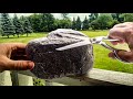 ASMR Rock Haircut Massage Cranial Nerve Exam Spa For Sleep