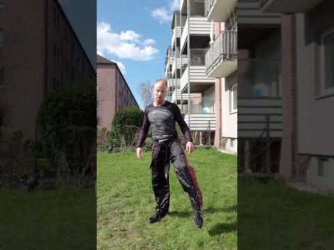 Technik Sonntag / Sprungkicks