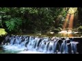 музыка для медитации пение птиц водопад.mp4 
