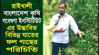 রাইখালি বাংলাদেশ কৃষি গবেষণা ইনস্টিটিউট এর উদ্ভাবিত বিভিন্ন যাতের ফল গাছের পরিচিতি |