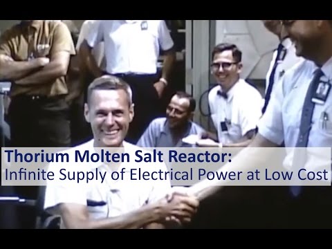 Thorium Molten Salt Reactor: Infinite Supply of Electrical Power at Low Cost