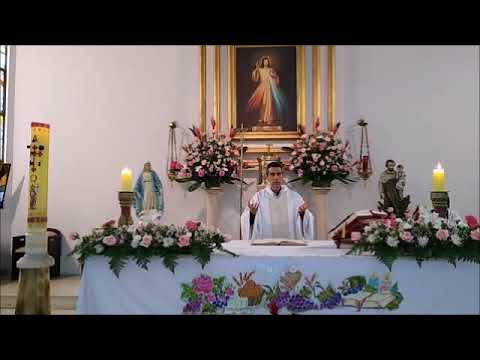 Homilía 16/05/21 - Solemnidad Ascensión del Señor - Marcos 16, 15-20 - Padre Carlos Rosell.