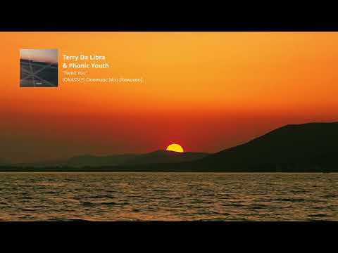 Terry Da Libra & Phonic Youth - Need You (OKASSUS Cinematic Mix) [Rewoven]