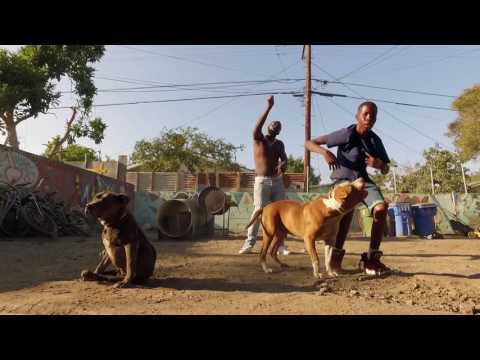 Desto Dubb - Born to Sale Juice OFFICIAL MUSIC VIDEO