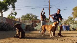 Desto Dubb - Born to Sale Juice OFFICIAL MUSIC VIDEO