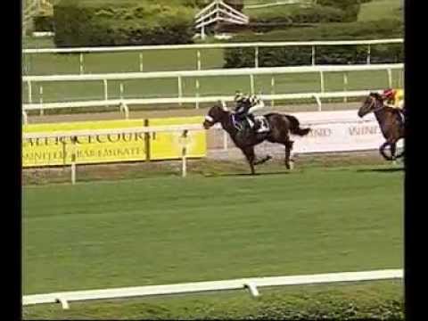 Premio UAE Trophy 2012 (HANDICAP PRINCIPALE)