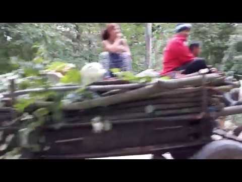 Carromato en Ghermanesti, Rumanía