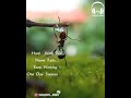 Hard Work Never Fails Tamil Motivation Video What S App Status