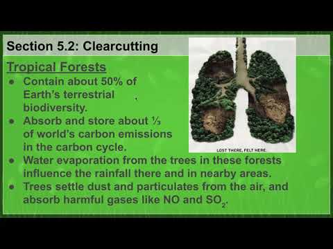 AP Environmental Science: Section 5.2 - Clearcutting