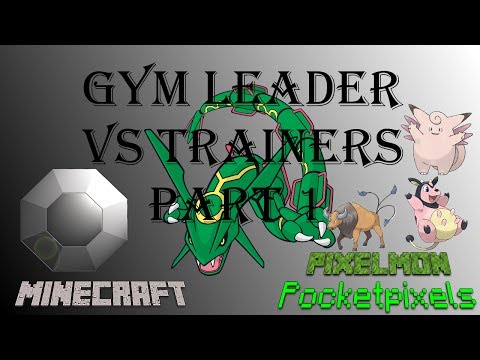 Pocket Pixels Gym Leader Vs Trainer - Part 1