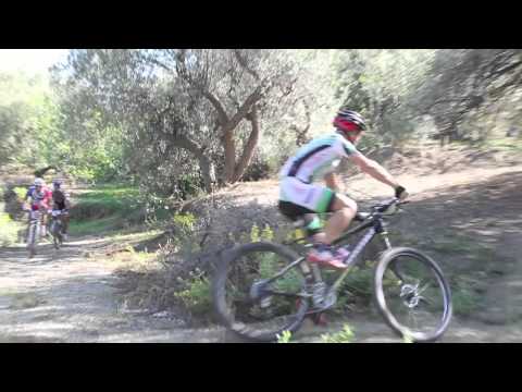 TROFEO QUATTROSTRADE MTB