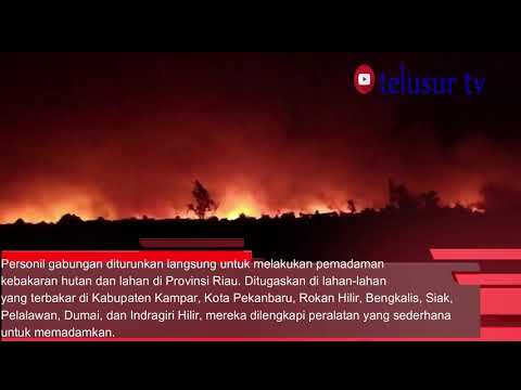 KABUT ASAP MENYIKSA MASYARAKAT KALIMANTAN