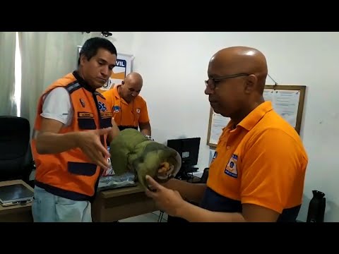 Com chegada das baixas temperaturas, Búzios e Cabo Frio ganham campanhas de agasalhos