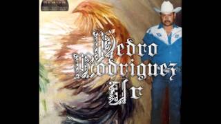 CANTINA DE MI BARRIO