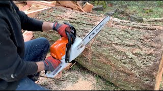 Stihl MS 251