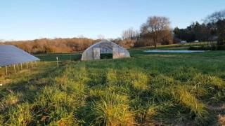 Twin Oaks Community Tour Part 1