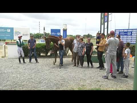 SINT COLONIA - 221113 c03 1° LATINA AVE