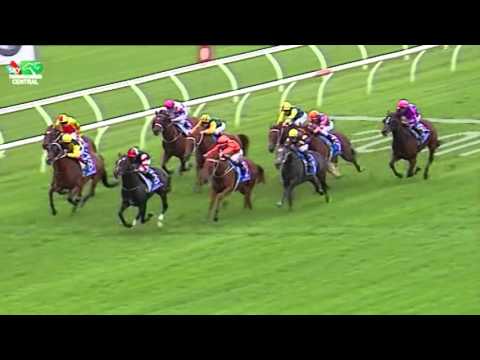Chautauqua - TJ Smith Stakes 2015