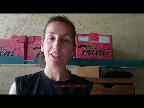 Qui est Pestouille ? Who is Pestouille ?