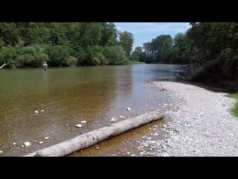 Die Alz (Wald an der Alz): Gedächtnisfischen II