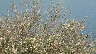 C&#39;est Le Printemps 2010