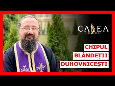 🔵 PREMIERĂ - CHIPUL BLÂNDEȚII DUHOVNICEȘTI   PĂRINTELE IACHINT