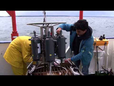 Ocean Sampling Day 2014 at Boknis Eck