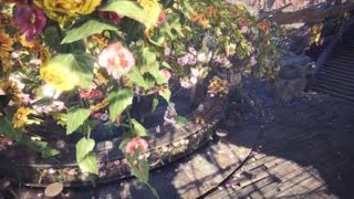 【MHW 】アステラ祭出遅れた；；【集会所かわいい】